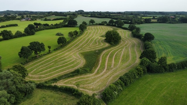 ein großes Feld mit einer Erntespur in der Mitte