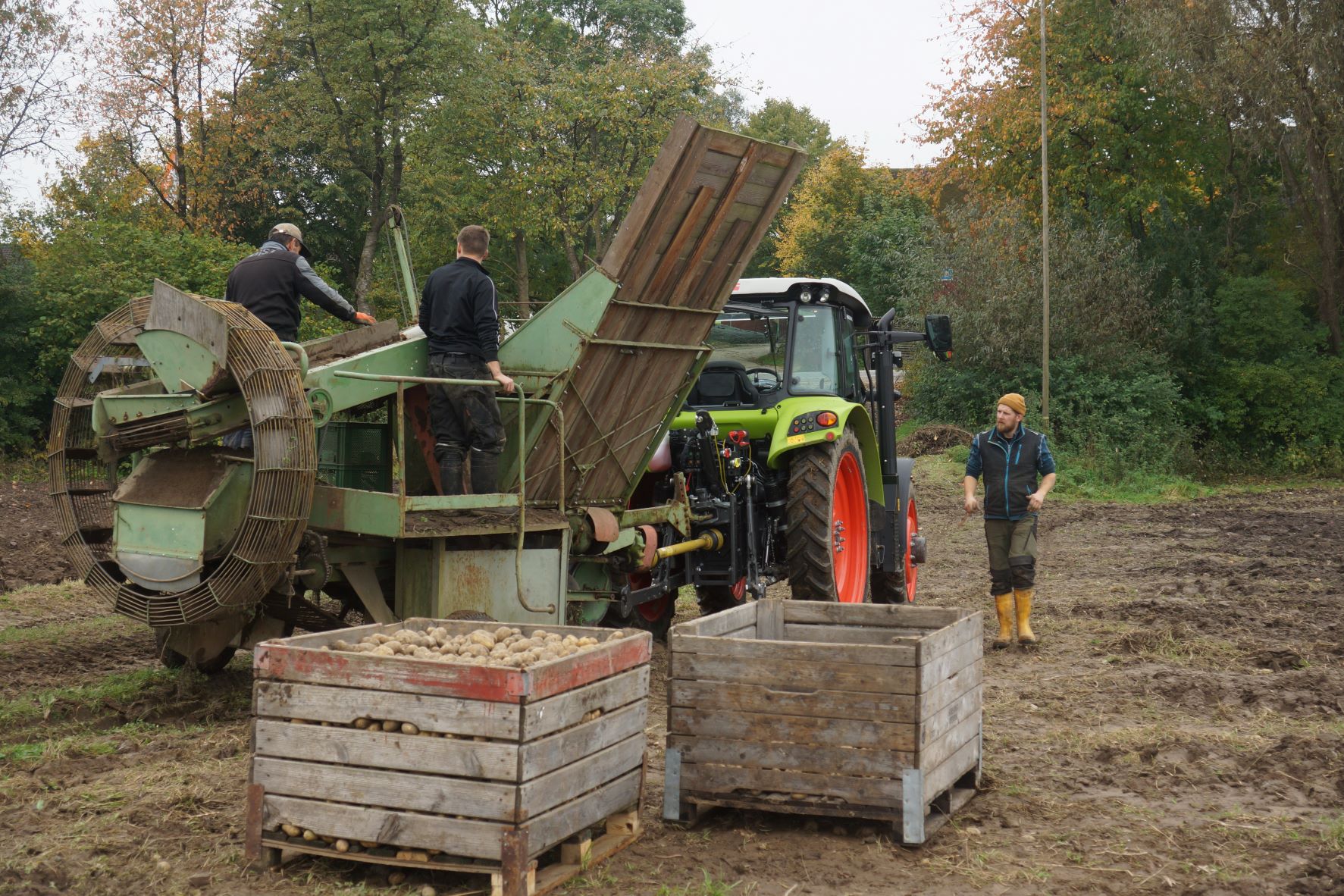 ein Traktor und Menschen bei der Kartoffelernte