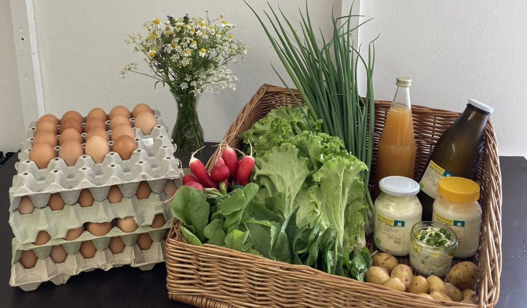 einen Korb gefüllt mit frischem Gemüse und Eiern
