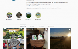 ein Screenshot von einer Fotocollage von Hof Sophienlust