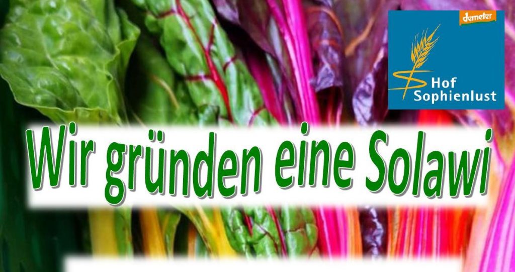 Bild vom Info-Flyer zur Solawi Gründung