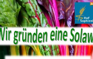 Bild vom Info-Flyer zur Solawi Gründung